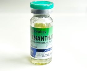 Testosterone Enanthate SP labs